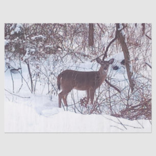 Deer in Winter Snow Photo Tissue Paper