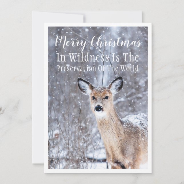 Deer In Winter Snow Woodlands Christmas Greeting (Front)