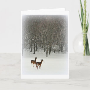 Deer in Woods in Snow Greeting Card