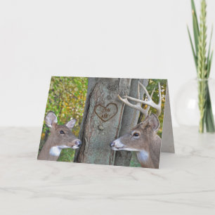 deer in woods with love heart on tree card