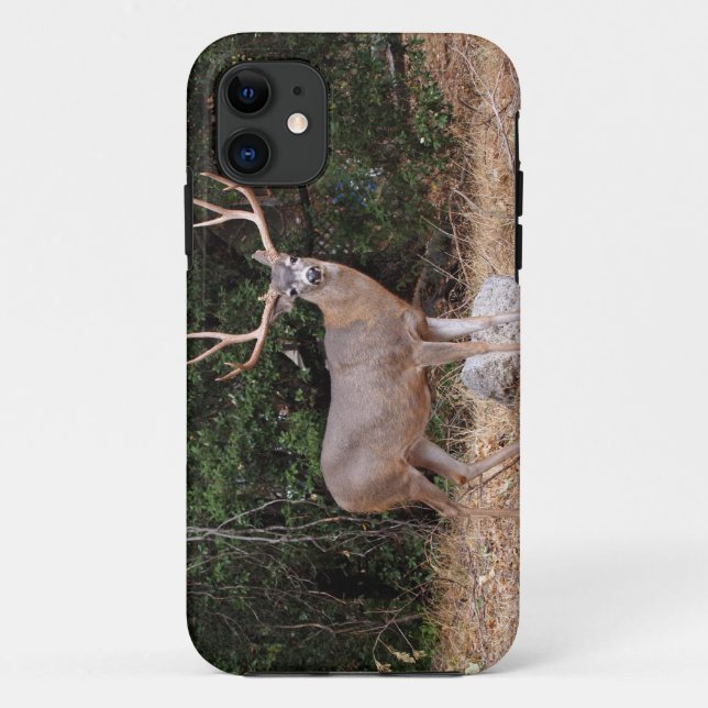 Deer iPhone 5 Case-Mate iPhone Case (Back)