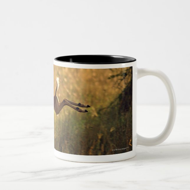 Deer leaping through field Two-Tone coffee mug (Right)