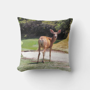 deer looking at camera photograph cushion