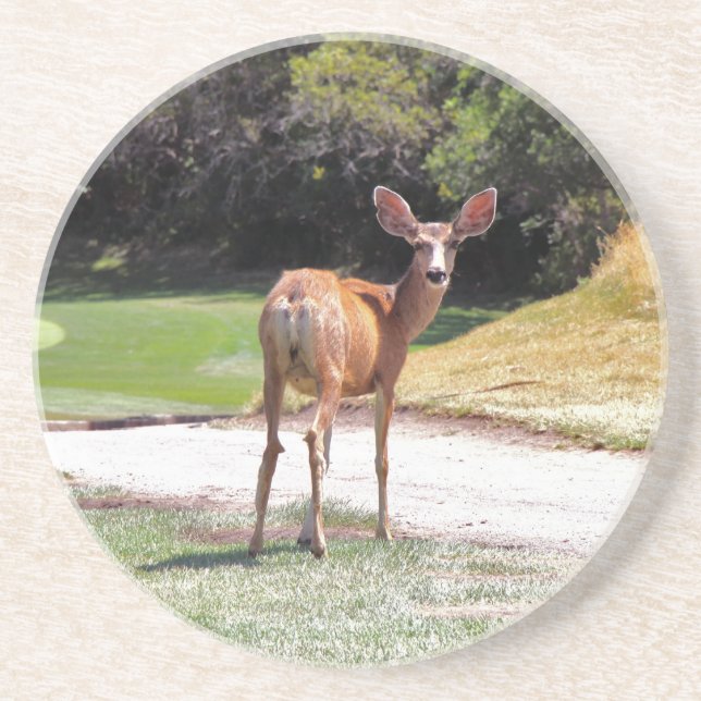 deer looking at you coaster (Front)