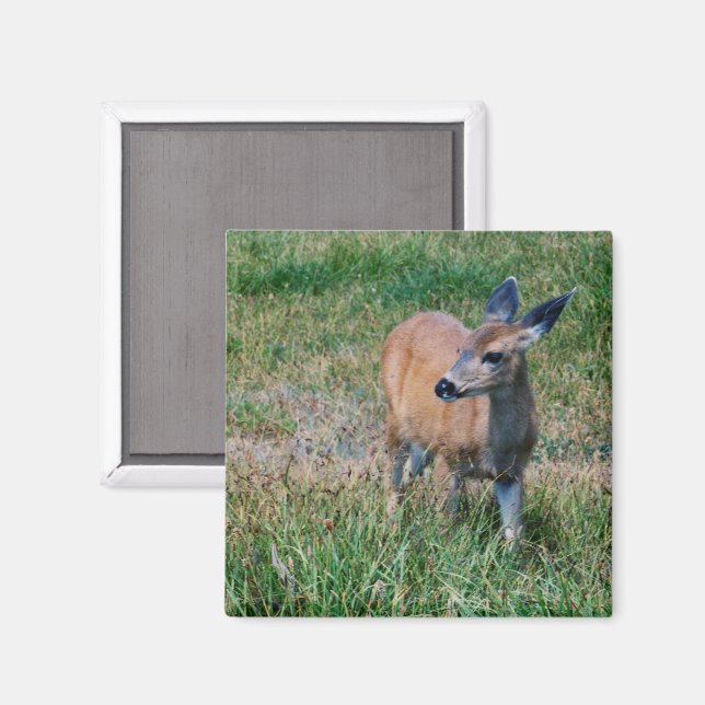 Deer Magnet (Front/Back)