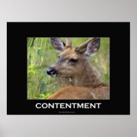 Deer Motivational Poster