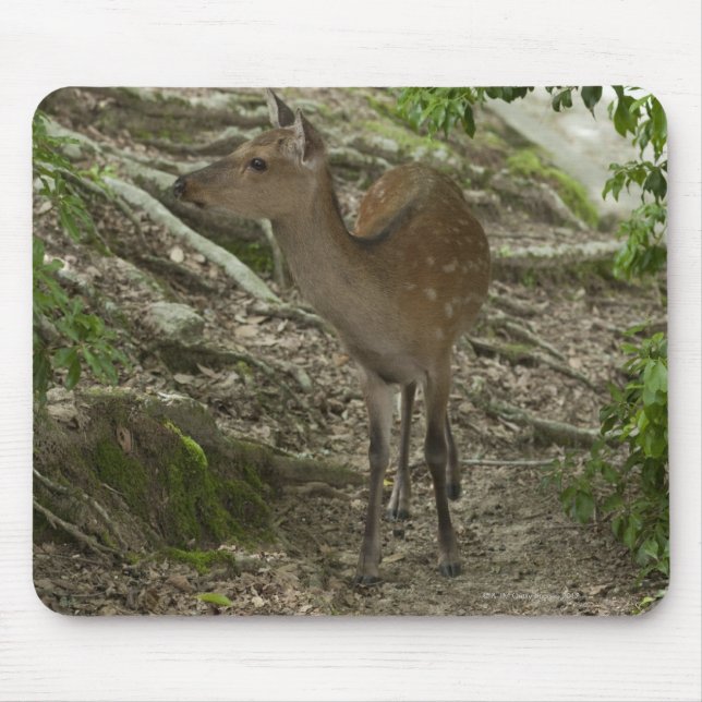 Deer Mouse Mat (Front)