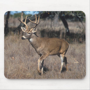 Deer Mouse Mat