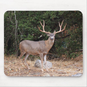 Deer Mousepad