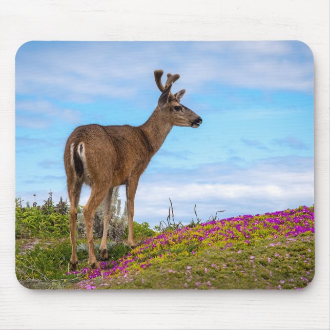 Deer Mousepad | Coastal Wildflower Wildlife (Front)