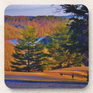 Deer & Mt. Lake Coaster