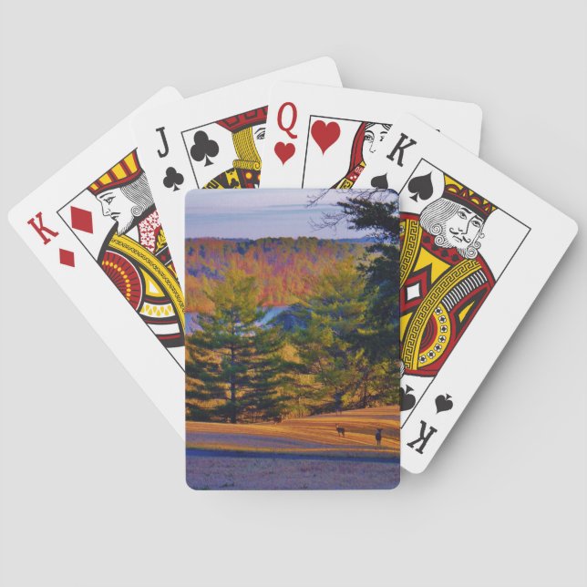 Deer & Mt. Lake Playing Cards (Back)
