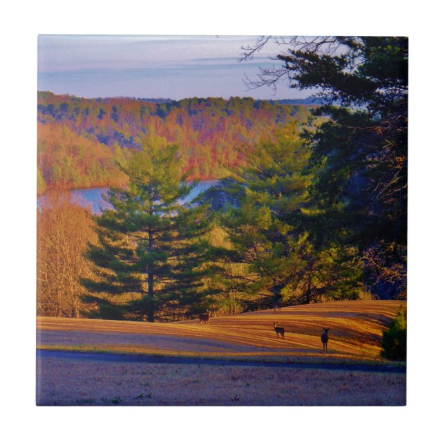 Deer & Mt. Lake Tile (Front)