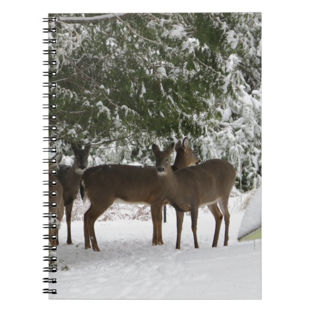 Deer Notebook (Front)