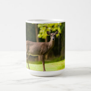 Deer on Golf Course Coffee Mug