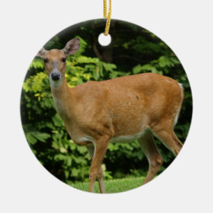 Deer Ornament