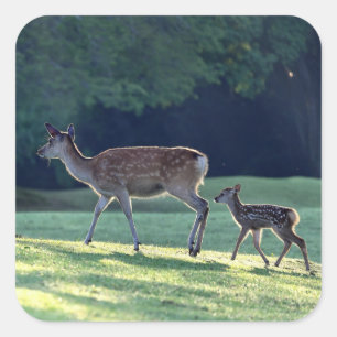 Deer, Parent child, Morning Square Sticker