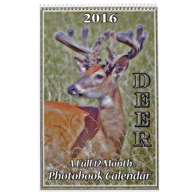 Deer Photo Book Calendar2 Calendar (Cover)