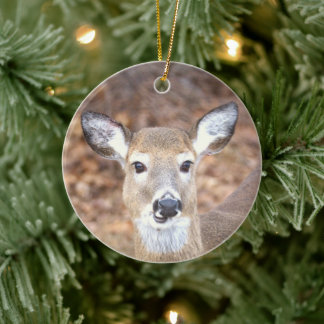Deer Photo Ornament 