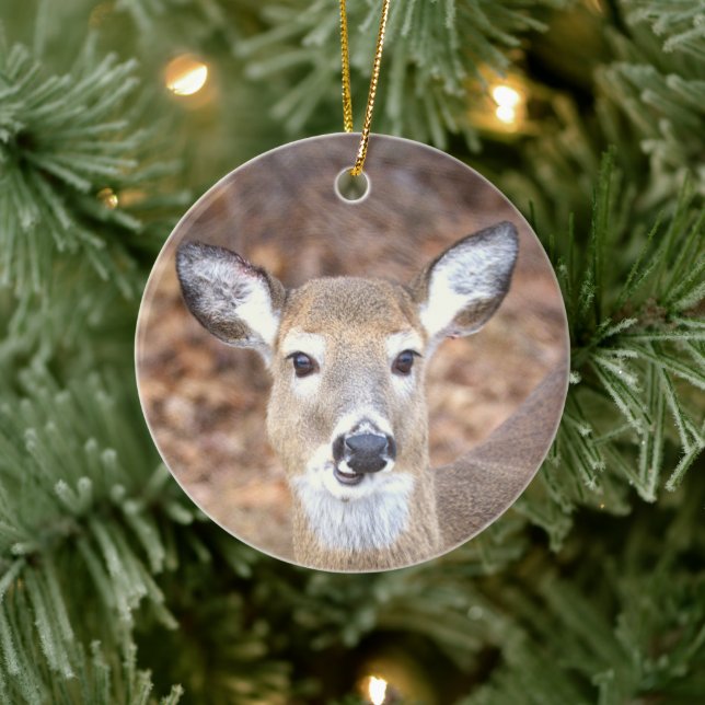 Deer Photo Ornament  (Tree)