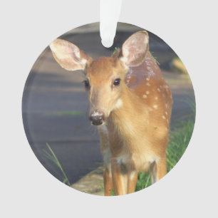 Deer Photo Ornament 