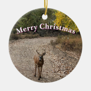 Deer Photo Ornament 