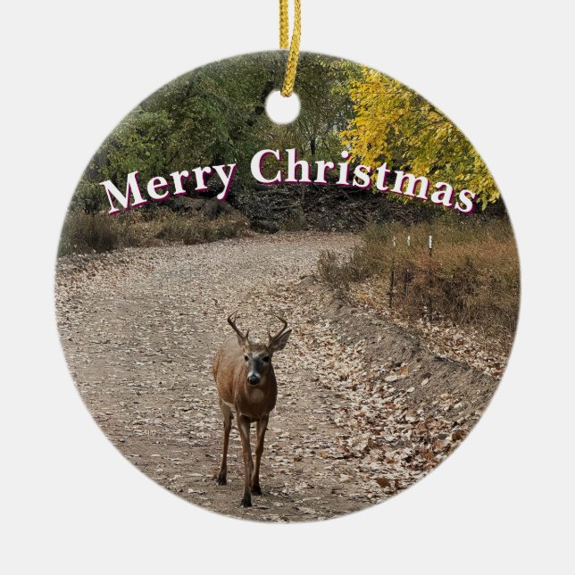 Deer Photo Ornament  (Front)