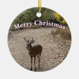 Deer Photo Ornament 
