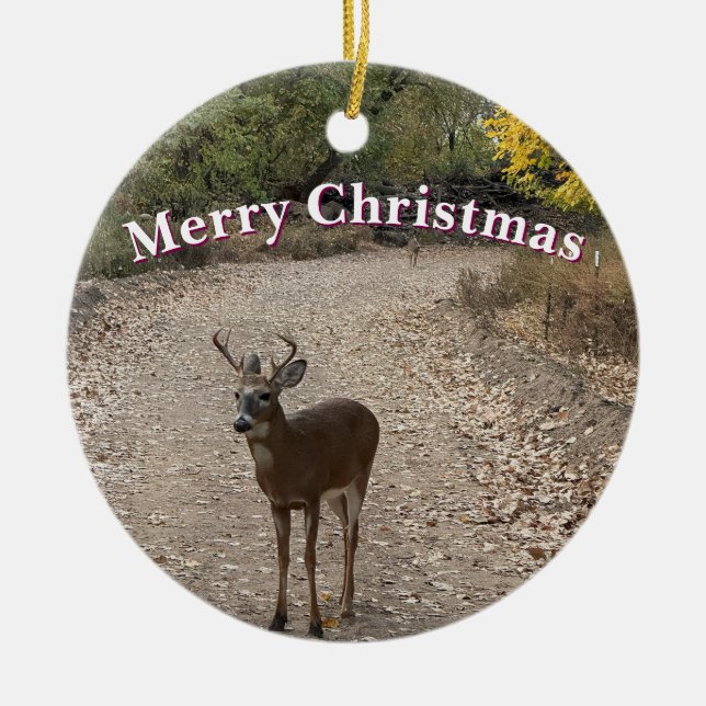 Deer Photo Ornament  (Front)