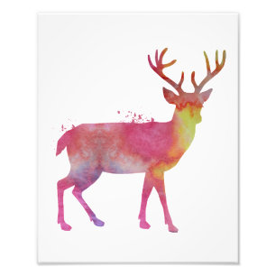 Deer Photo Print