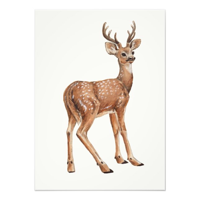Deer Photo Print (Front)