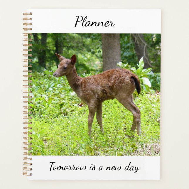 Deer Planner (Front)