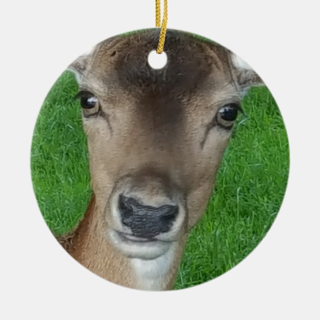Deer Portrait Photography Wildlife Ceramic Tree Decoration (Front)