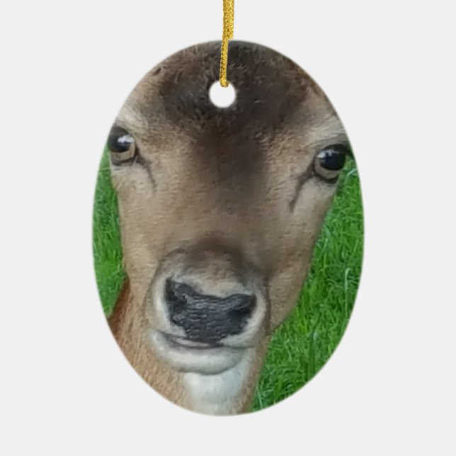 Deer Portrait Photography Wildlife Ceramic Tree Decoration (Front)