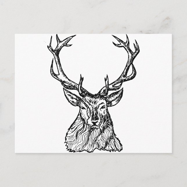 Deer Postcard (Front)