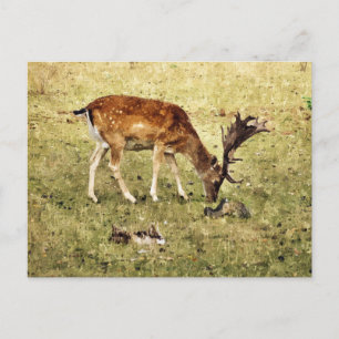 DEER POSTCARD