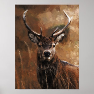 Deer Poster