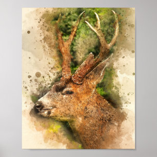 deer poster