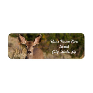 Deer Return Address Sticker