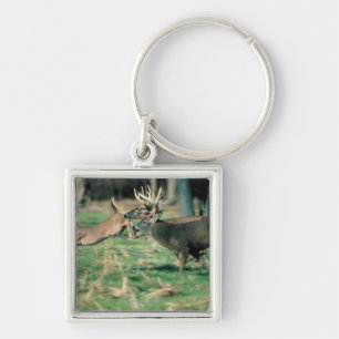 Deer running in forest key ring