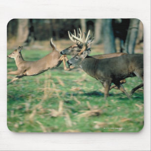 Deer running in forest mouse mat