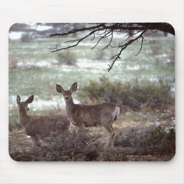 Deer running mouse mat (Front)