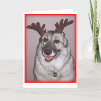 Deer Savannah with red Holiday Card