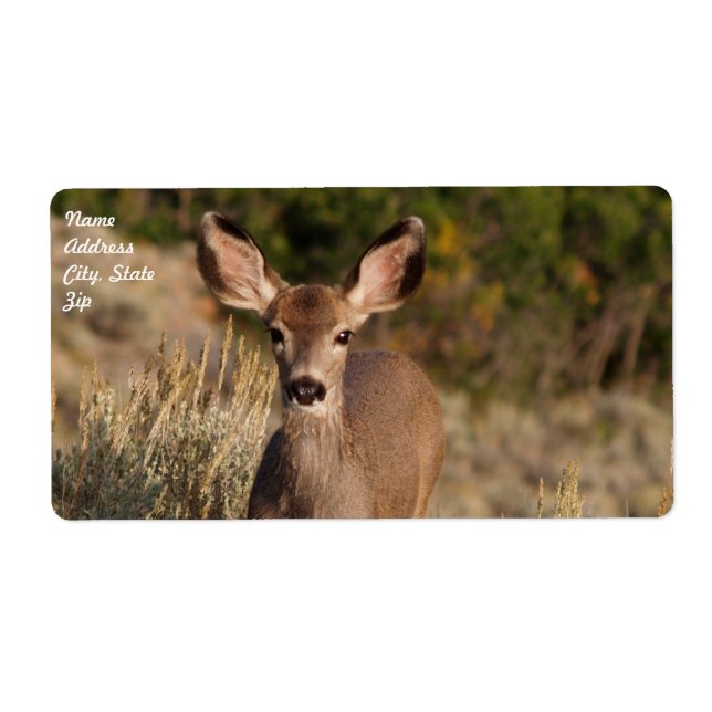 Deer Shipping Label (Front)
