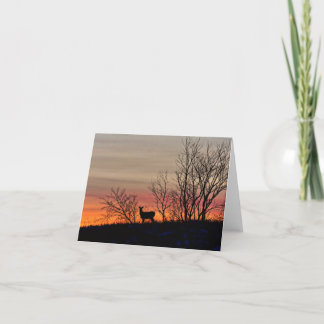 Deer silhouette at sunset blank notecard.  thank you card