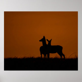 Deer Silhouettes at Sunset Wildlife Photography Po Poster