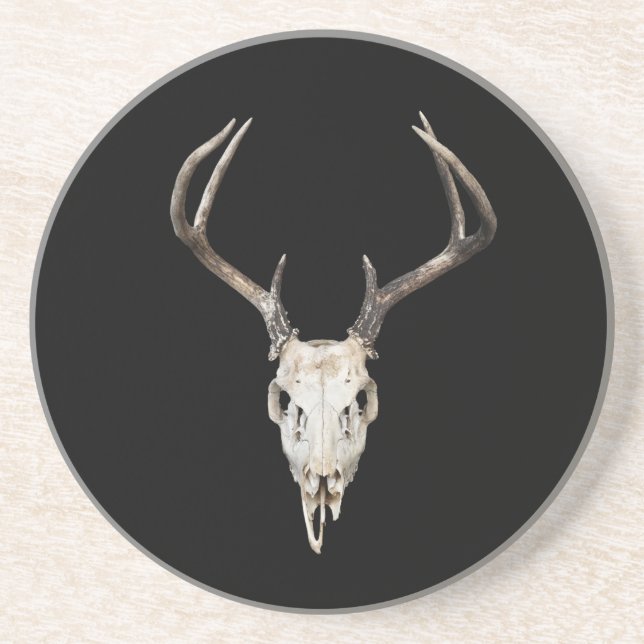 Deer Skull - Buck Antlers - Outfitter - Taxidermy Coaster (Front)