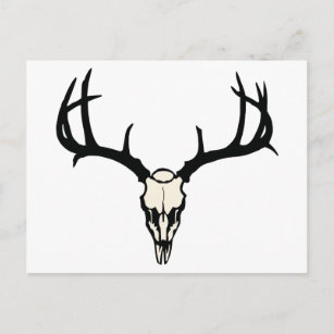 Deer Skull Postcard