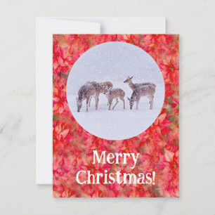 Deer Snow and Red Poinsettia Christmas Flat Card