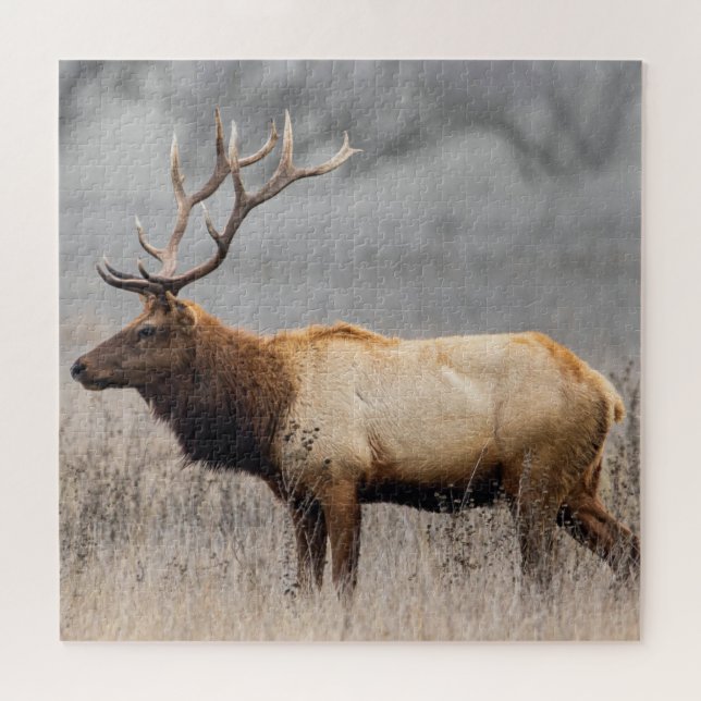 Deer Stag Animals Wildlife Nature Buck Jigsaw Puzzle (Horizontal)